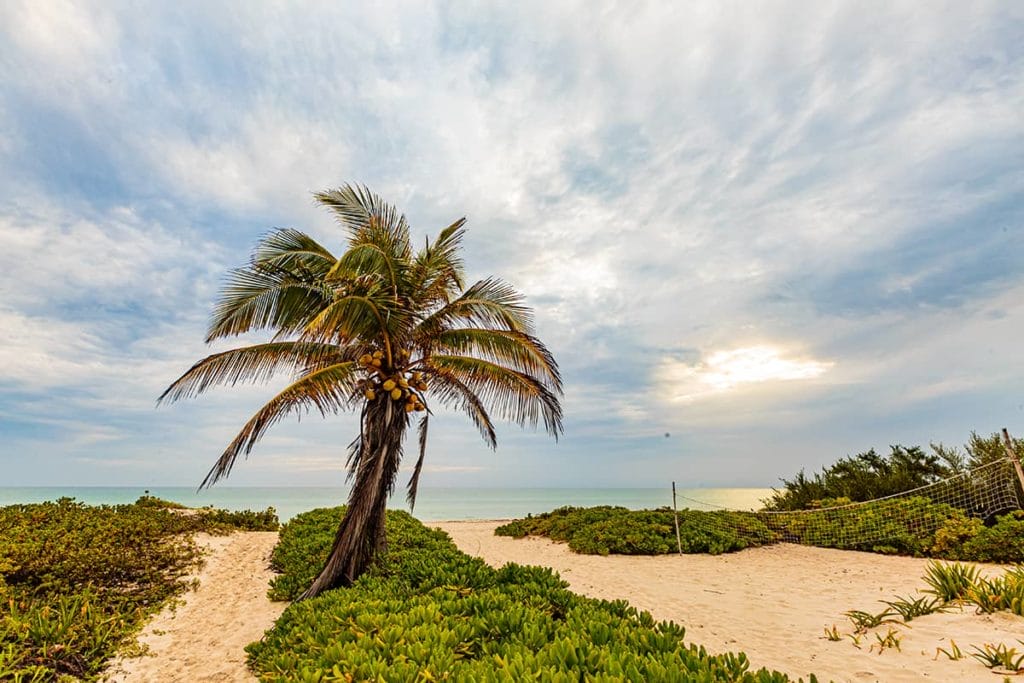 El cuyo beach