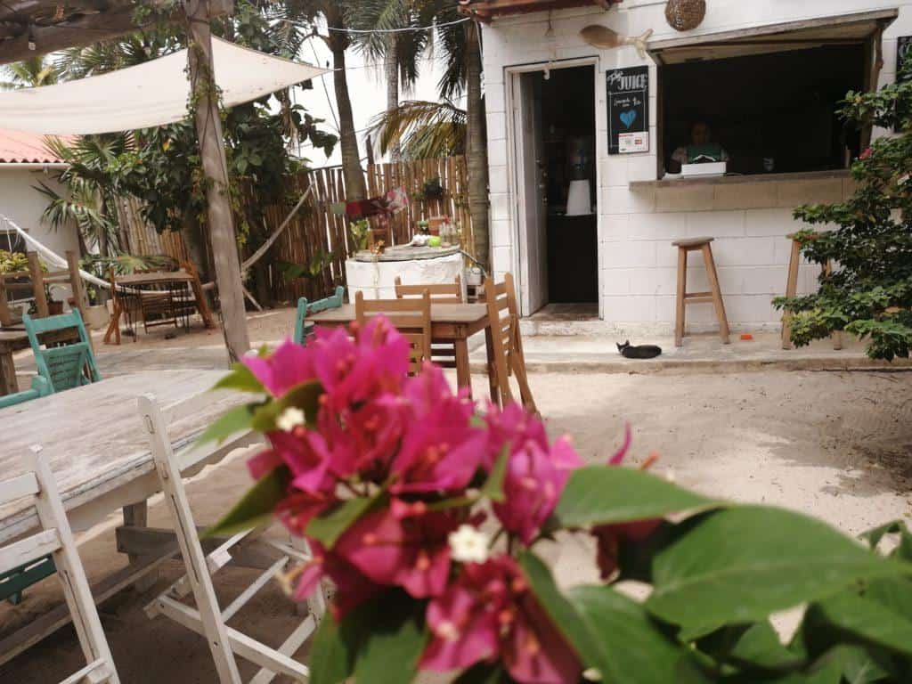 Naia Cafe courtyard