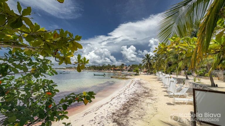 Pristine tropical beach with white sand, palm trees, and calm water. Empty sun loungers line the shore under a partly cloudy sky.