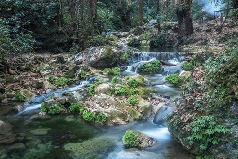 El chuveje - sierra gorda Queretaro