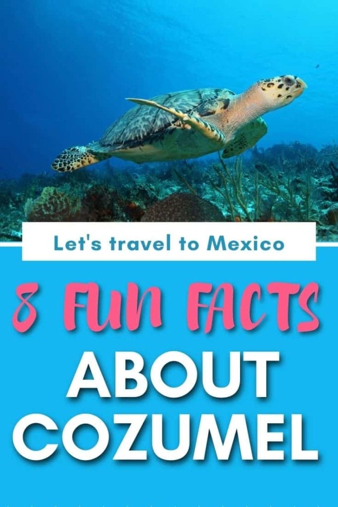 cozumel vertical image composition