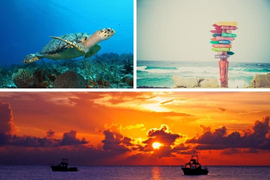 cozumel pictures composition