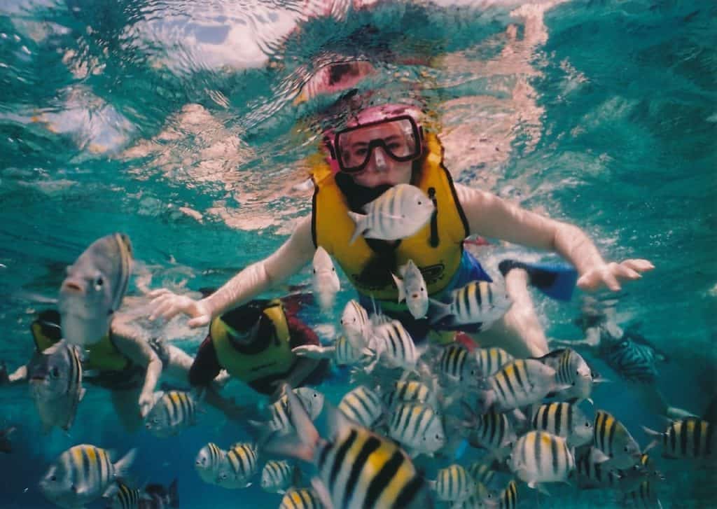 fun facts about cozumel reef snorkeling, snorkeler, reef