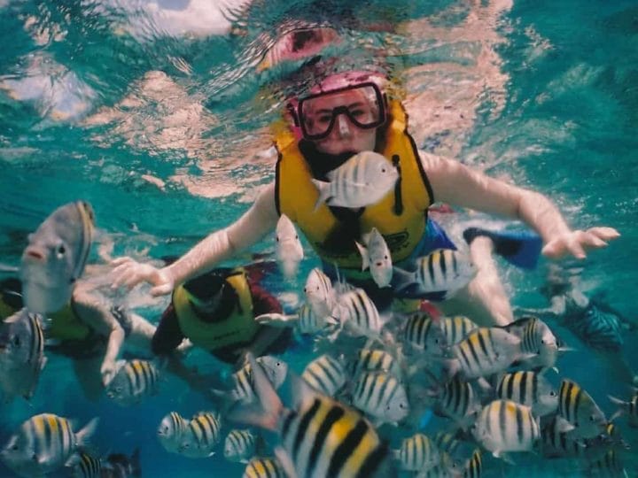 fun facts about cozumel reef snorkeling, snorkeler, reef