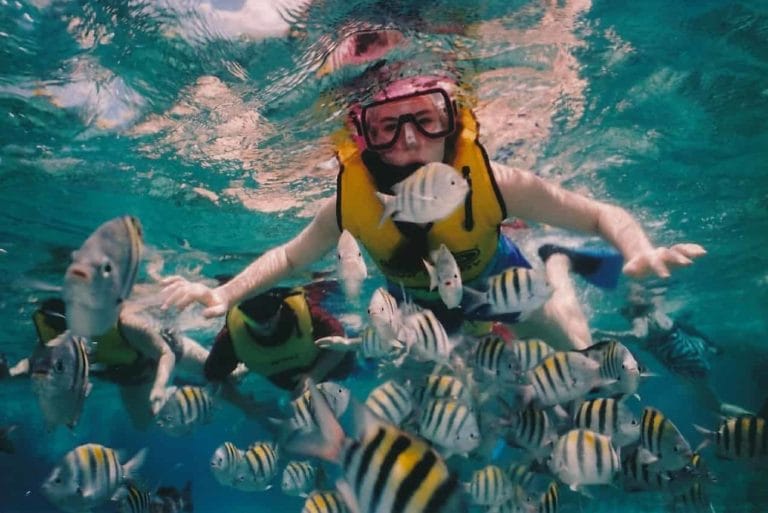 fun facts about cozumel reef snorkeling, snorkeler, reef