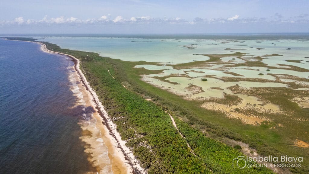 Aerial view of Sian Ka'an Biosphere Reserve: expansive coastline, lush greenery, turquoise waters, mangroves, and vibrant landscapes under a clear sky.