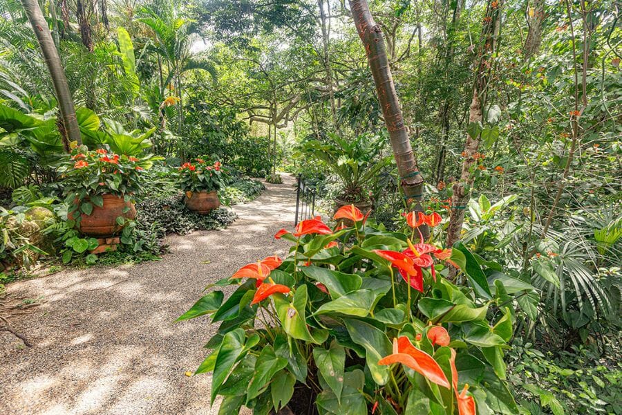 Puerto Vallarta Botanical Garden