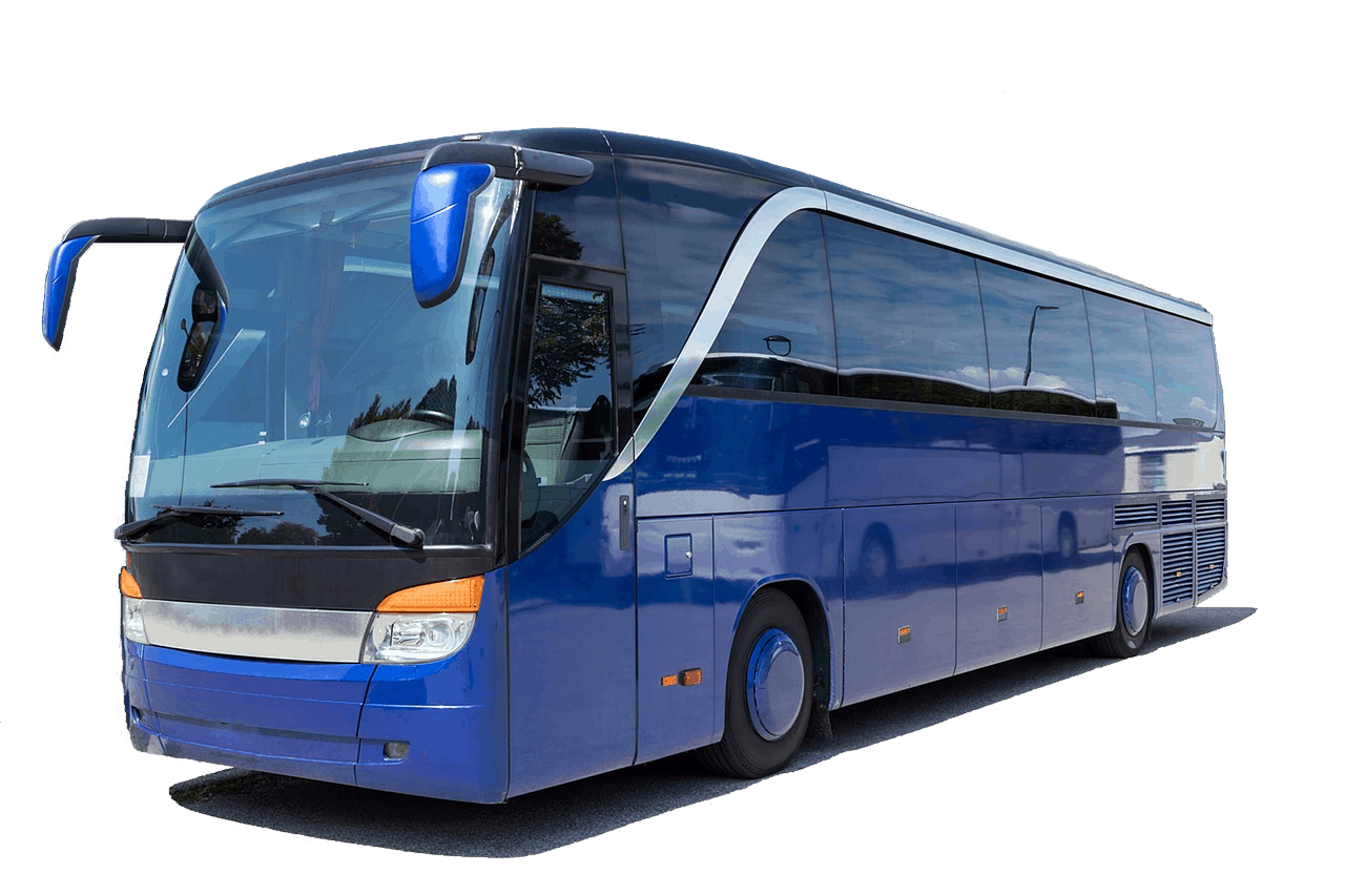 coach, bus, holiday