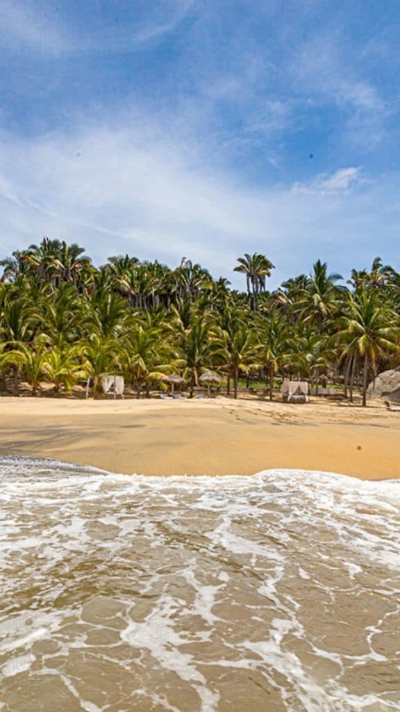 Playa Carricito - Sayulita Ocean water edges up to a palm-lined beach with cabanas tucked into the trees under a sunny blue sky—tropical relaxation at its finest.