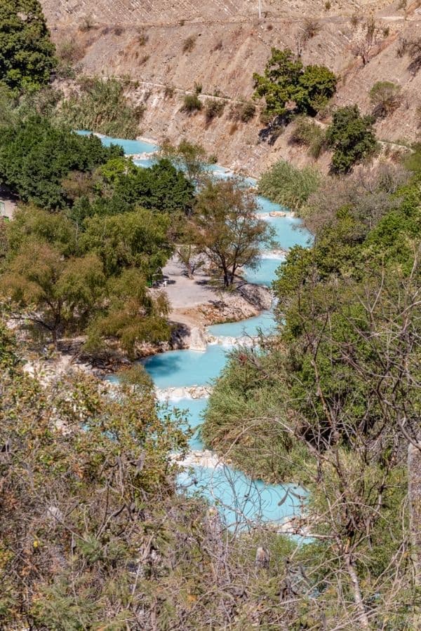River crossing a lush bush