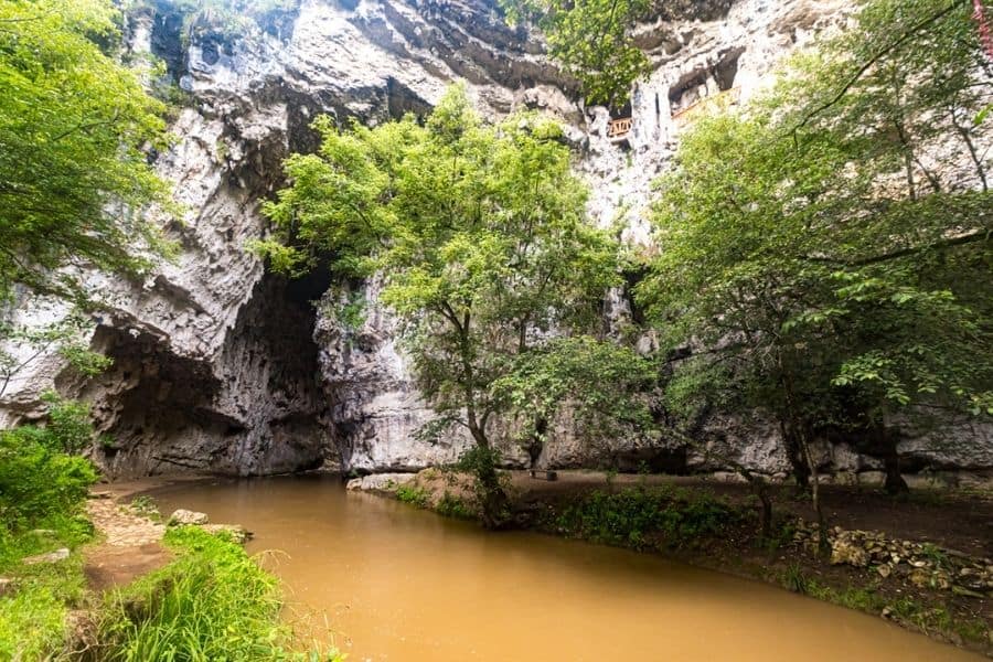 brown river 