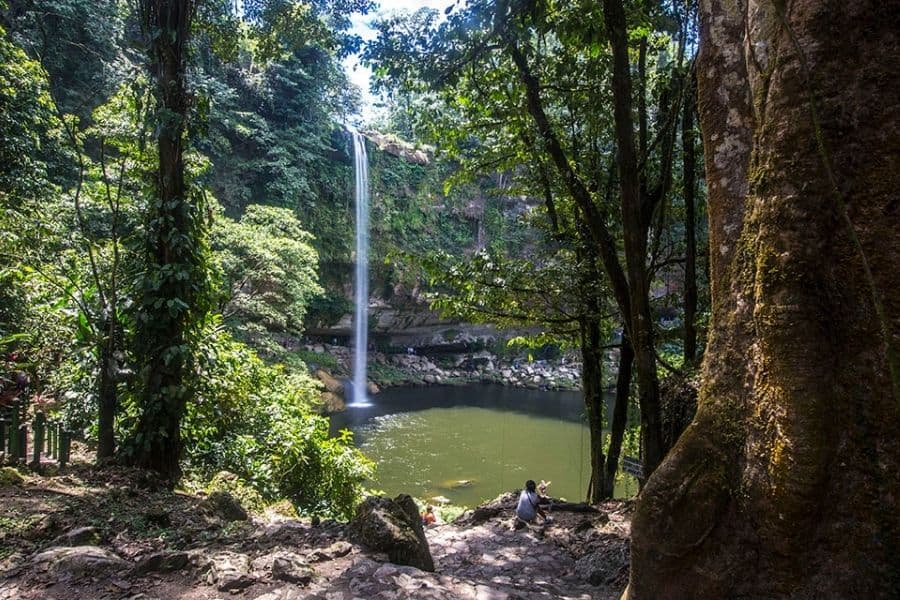 waterfall surrounded by a tropical jungle