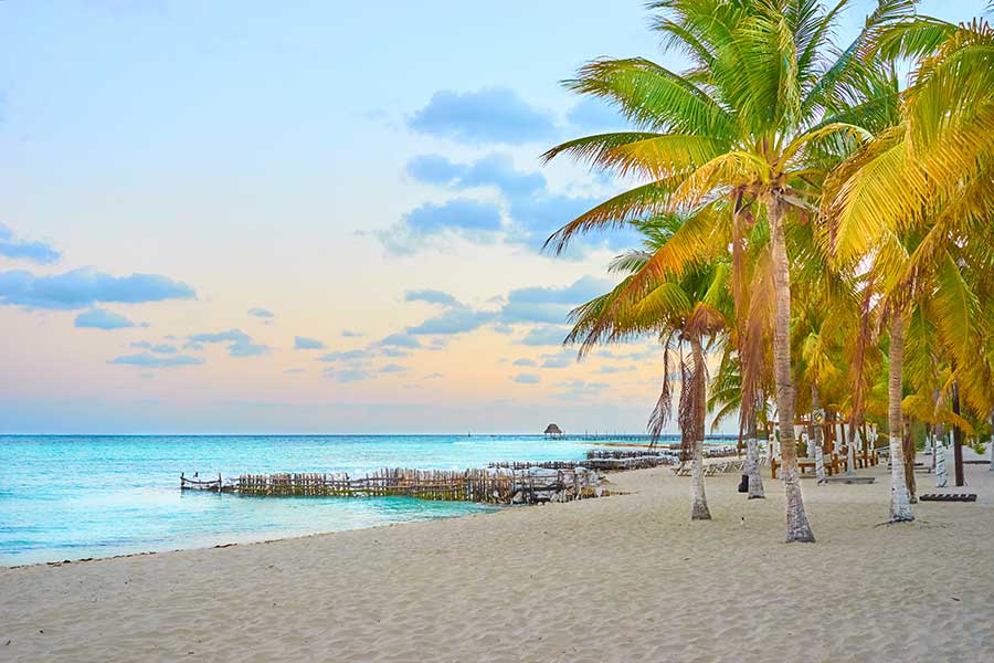 tropical beach