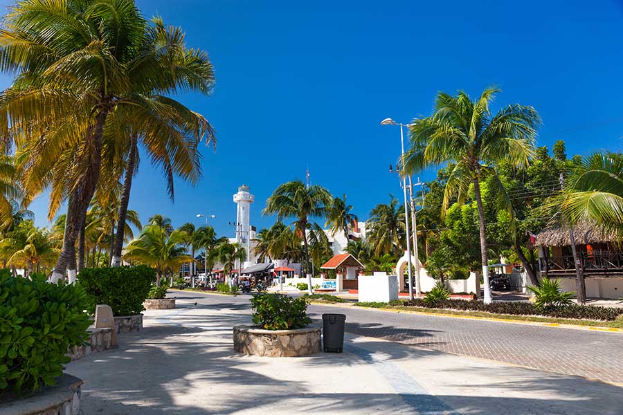 road lined with palms and houses