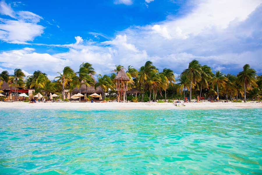 isla mujeres beach backed by palm trees