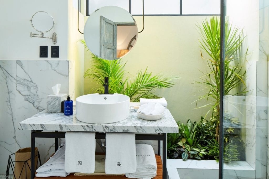 bathroom with plants and marmol sink