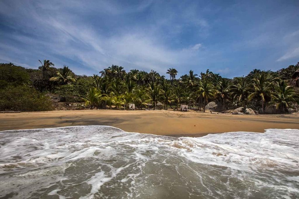 Playa Carricito Sayulita - surrounded by palms