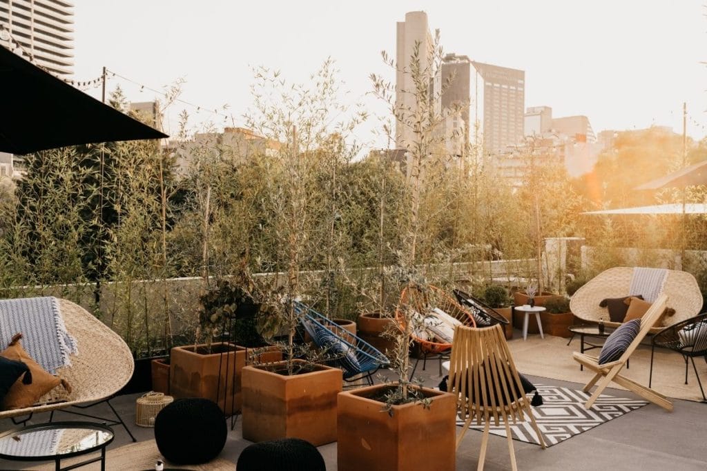 roof top terrace with plants