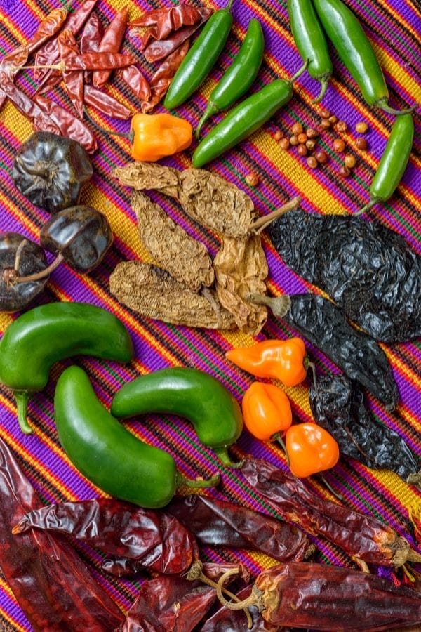 different types of Chile
