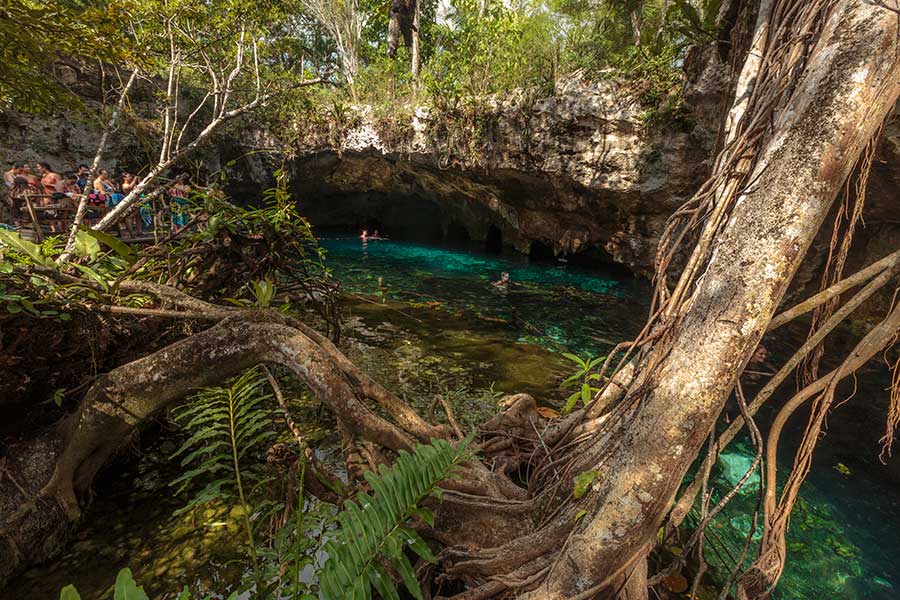 Grand Cenote Tulum