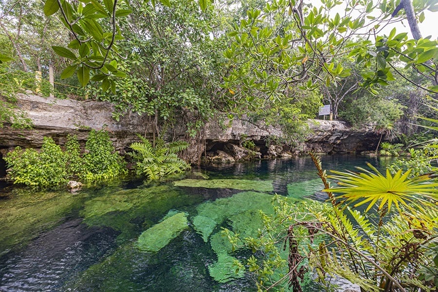 cenote cristalino