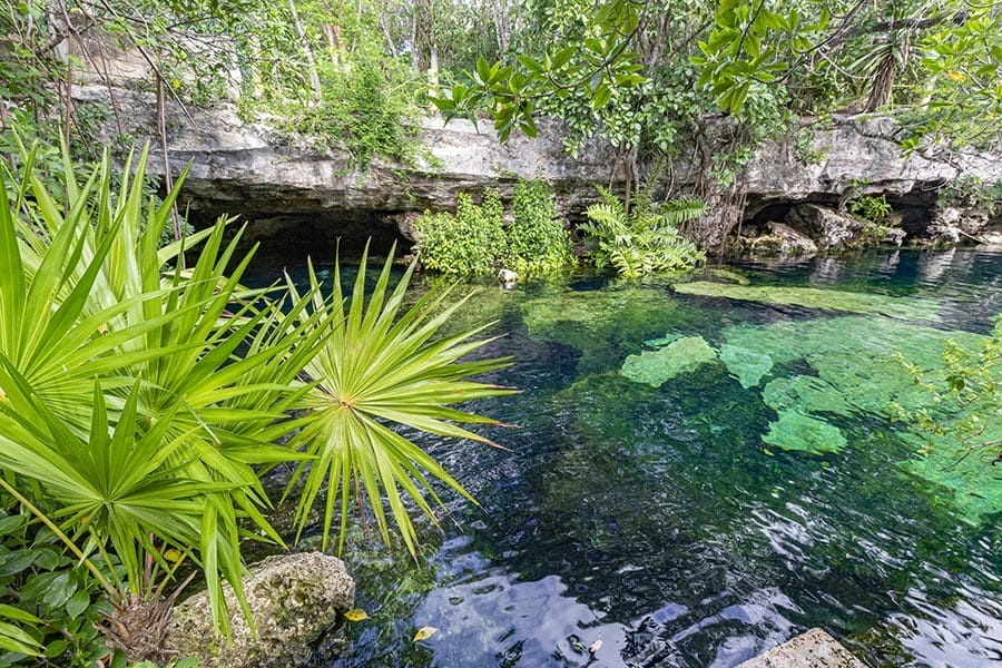 cenote cristalino near tulum