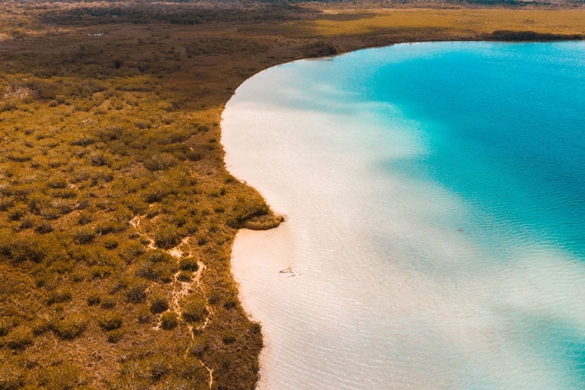 Siaan Ka'an aerial view of the beach and jungle