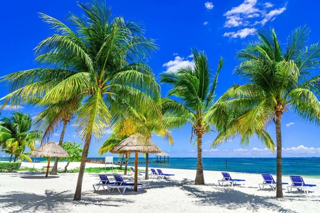 Beach chairs among palm trees on Cancun beach