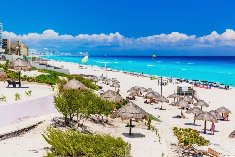 Cancun dolphin beach