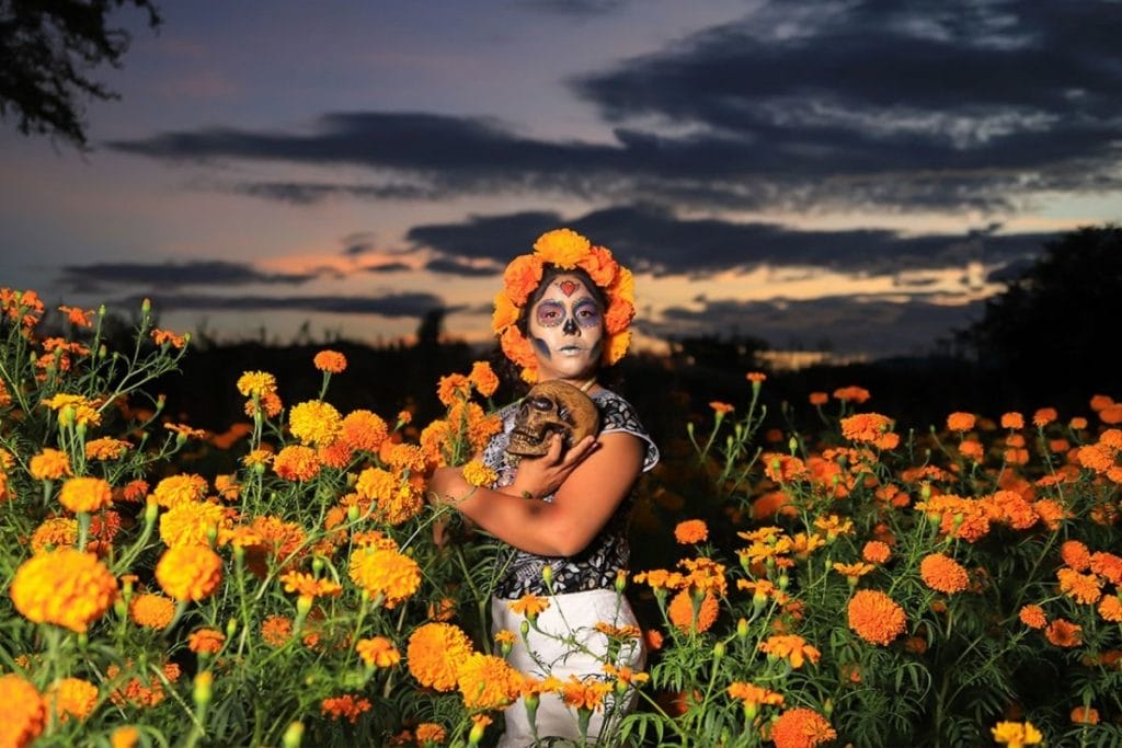 Woman with her face painted and a fake skull in her hands in a flower field - Oaxaca day of the dead