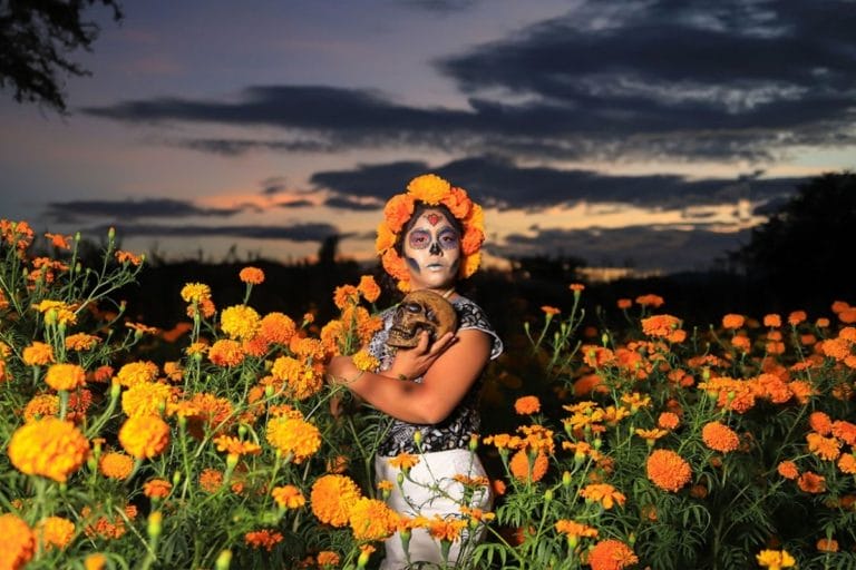 Woman with her face painted and a fake skull in her hands in a flower field
