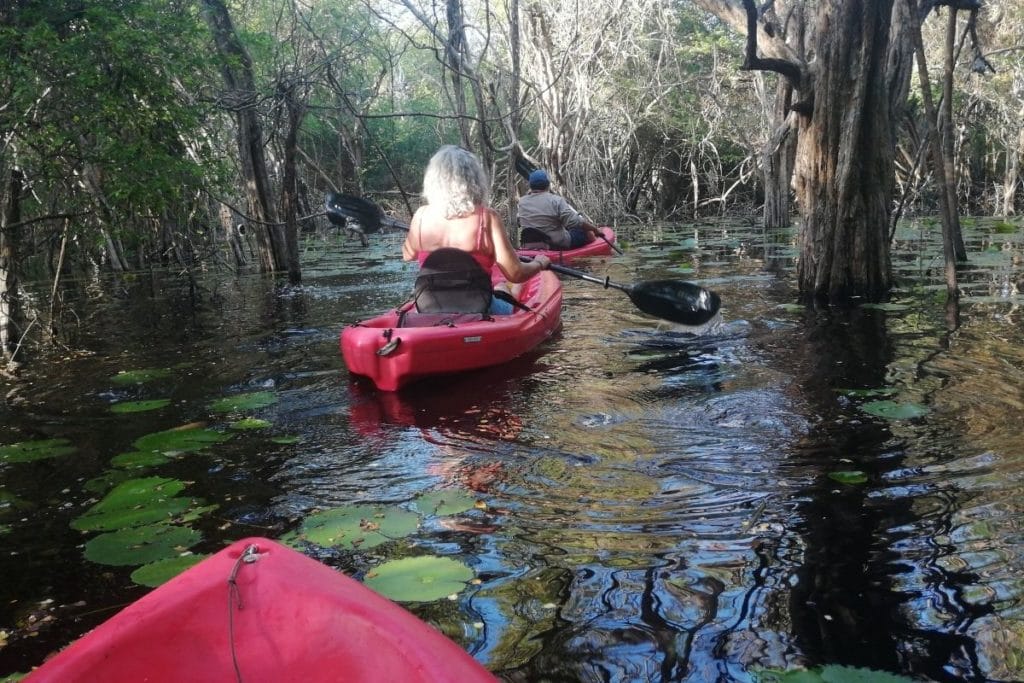 kayak tour among palo de tinte