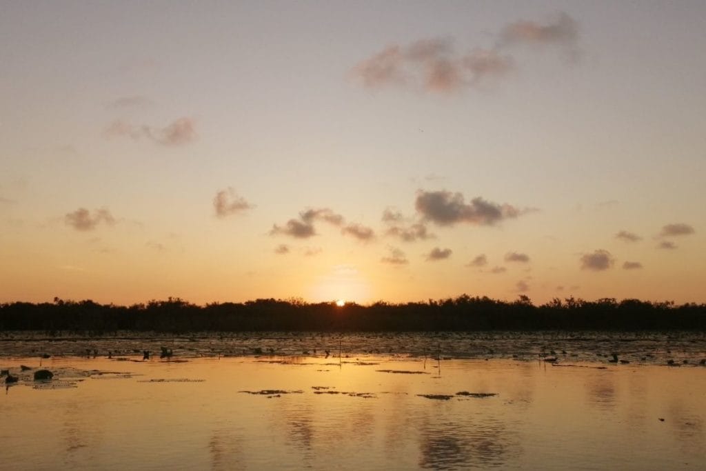 kayak tour sunset