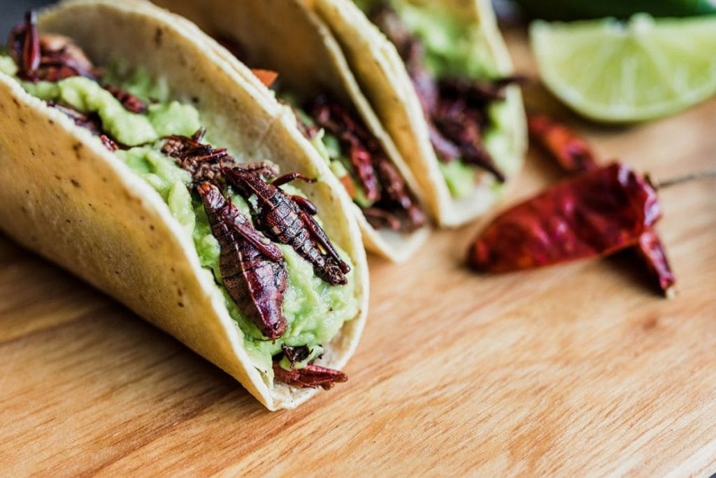 Tacos with chapulines