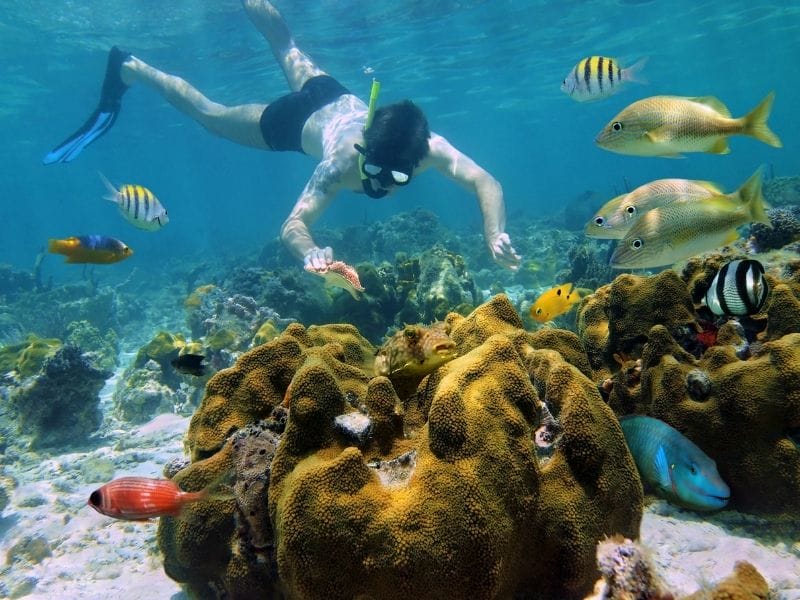 Cozumel - man diving surrounded by fishes