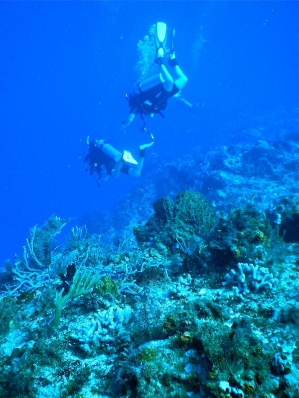 Cozumel Divers