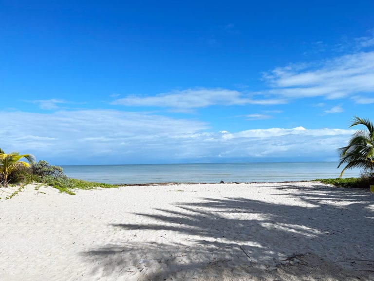 Sunny beach scene with clear blue sky, white sandy shore, ocean waves, and palm trees casting gentle shadows. Tranquil and serene atmosphere.