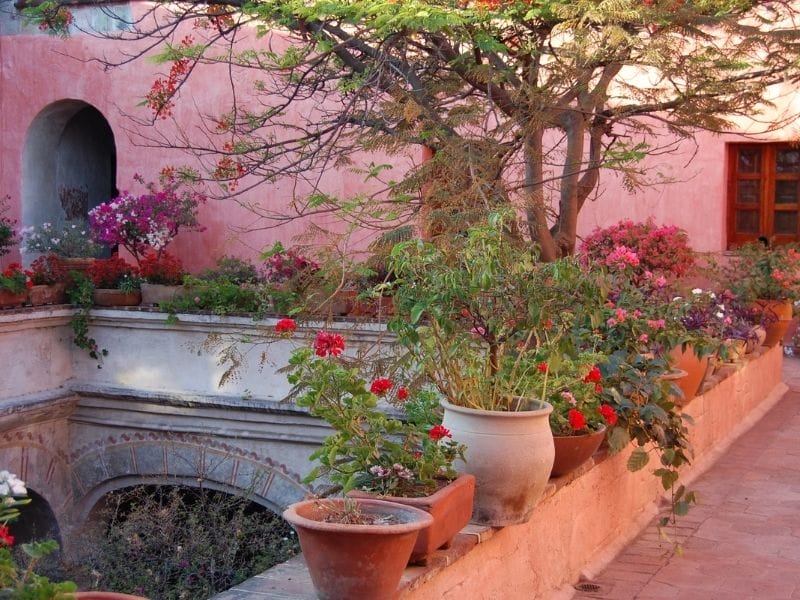 Oaxaca courtyard