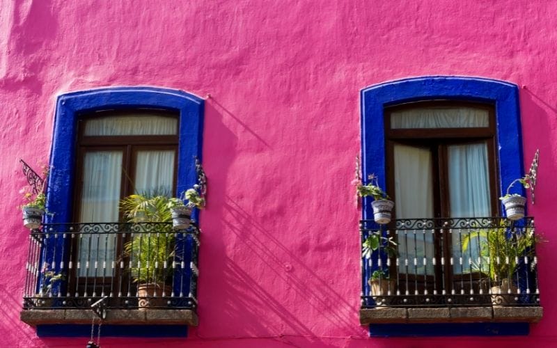 Oaxaca windows
