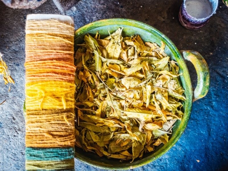 Natural Dying tecnique in Oaxaca