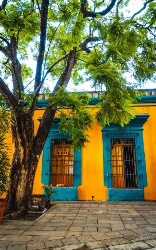 Oaxaca city yellow home