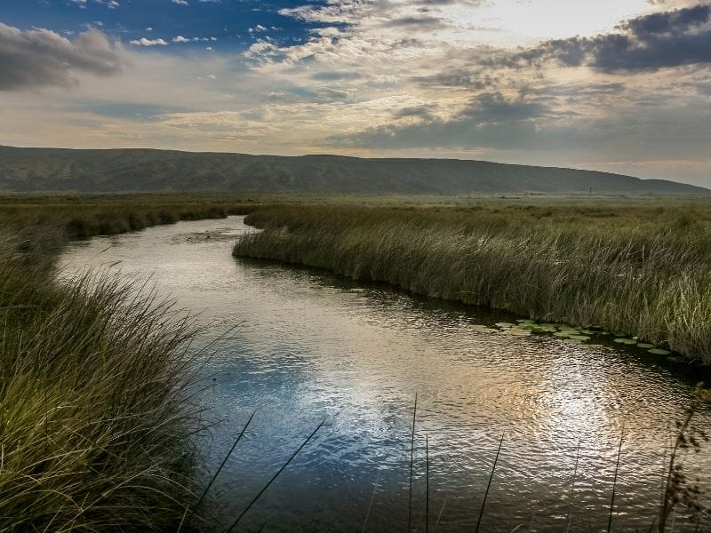 Cuatro Cienegas