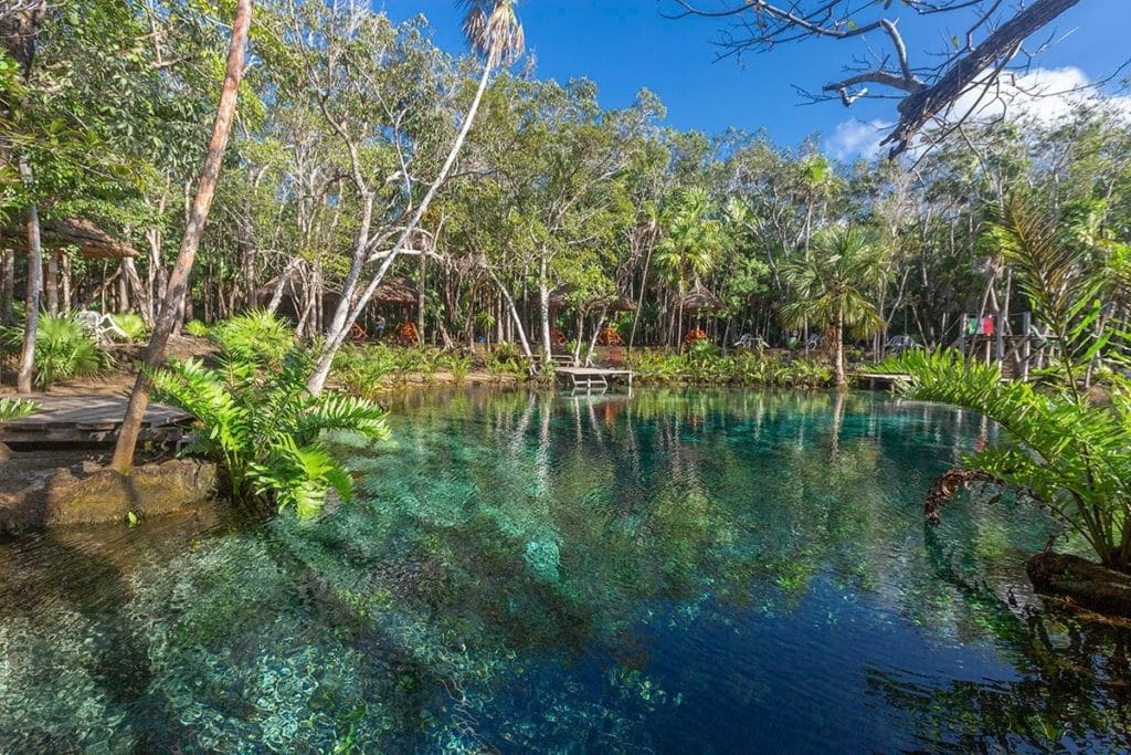 Cenote Corazon overview