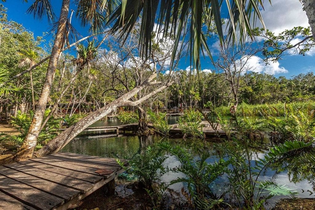 Cenote Corazon 