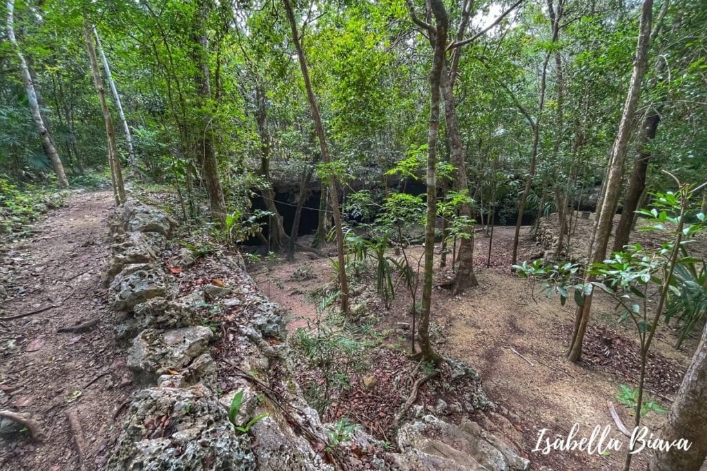 Cenote Isla Alamos  path