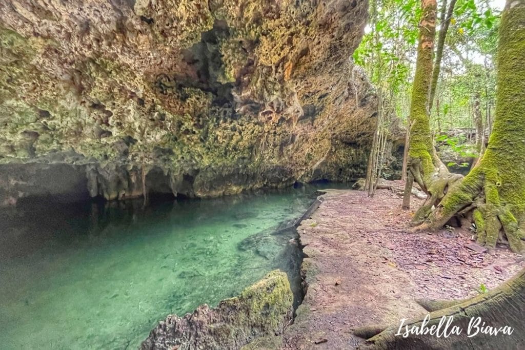 Cenote Isla Alamos 