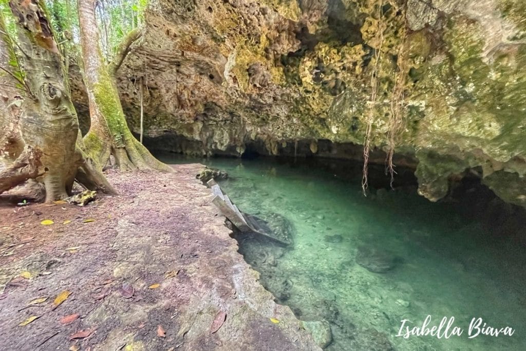 Cenote isla alamos 