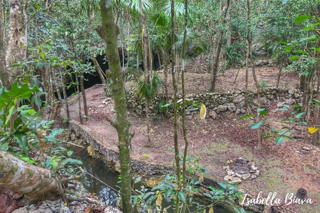 Cenote Isla Alamos