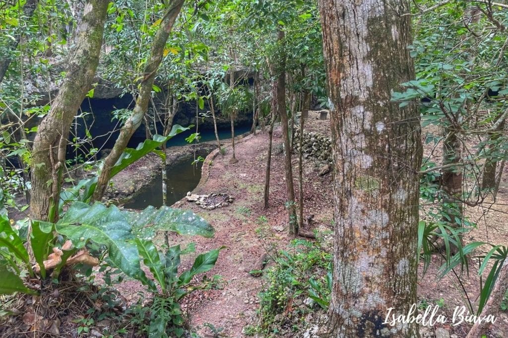 Cenote Isla Alamos 