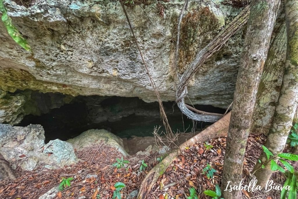 Cenote Isla Alamos  cave